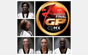 World Taekwondo Grand Prix Final, Mexico City 2015
