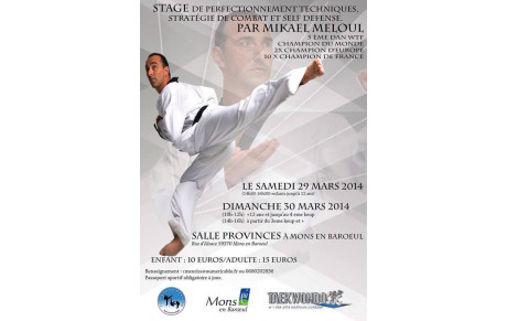 STAGE DE TAEKWONDO 