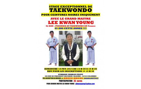 STAGE DE TAEKWONDO G. Maître LEE KWAN YOUNG